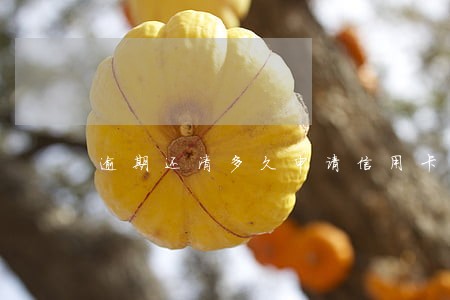 逾期还清多久申请信用卡 逾期还清多久申请信用卡