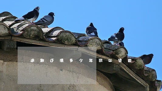 逾期还清多少年可以贷款 逾期还清多少年可以贷款