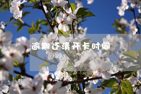 逾期还清开卡时间 逾期还清开卡时间