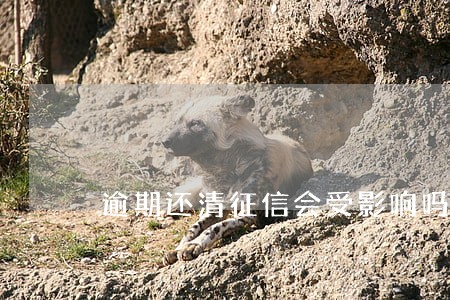逾期还清征信会受影响吗 逾期还清征信会受影响吗