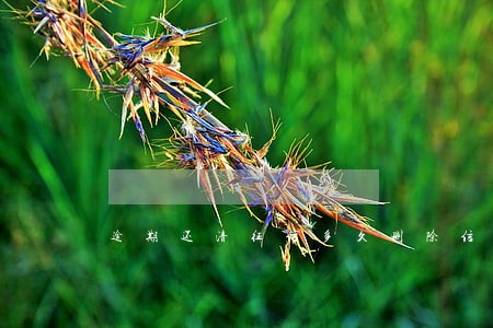 逾期还清征信多久删除信息 逾期还清征信多久删除信息