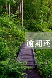 逾期还清征信多久恢复影响孩子不 逾期还清征信多久恢复影响孩子不