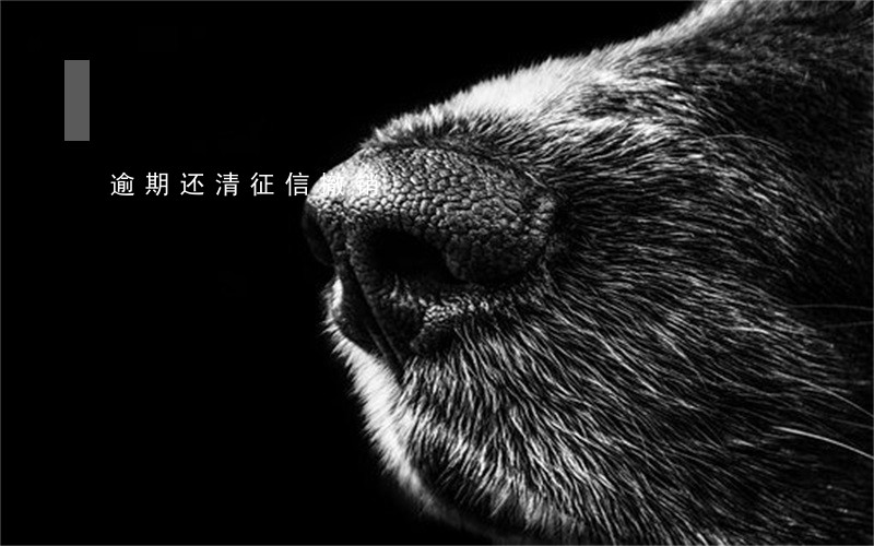逾期还清征信撤销 逾期还清征信撤销