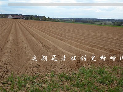 逾期还清征信更新时间 逾期还清征信更新时间