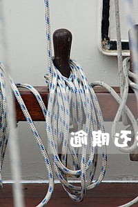 逾期还清征信还显示 逾期还清征信还显示