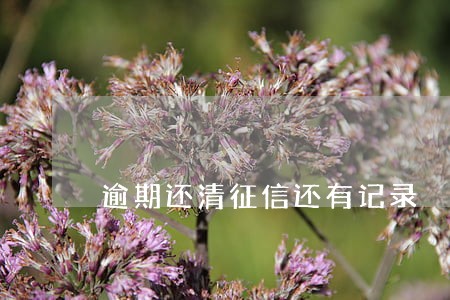 逾期还清征信还有记录 逾期还清征信还有记录