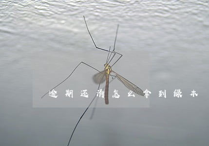 逾期还清怎么拿到绿本 逾期还清怎么拿到绿本
