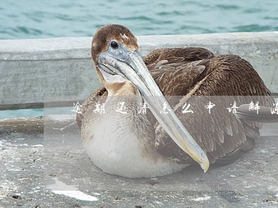 逾期还清怎么申请解冻储蓄卡 逾期还清怎么申请解冻储蓄卡