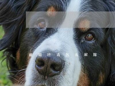 逾期还清怎么解除