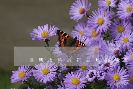 逾期还清房贷后还有哪些手续 逾期还清房贷后还有哪些手续