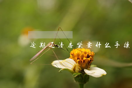 逾期还清房贷要什么手续