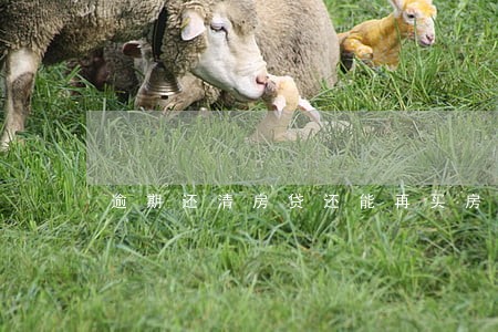 逾期还清房贷还能再买房吗 逾期还清房贷还能再买房吗