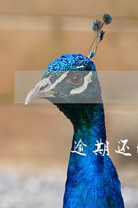 逾期还清欠款是否不收利息 逾期还清欠款是否不收利息