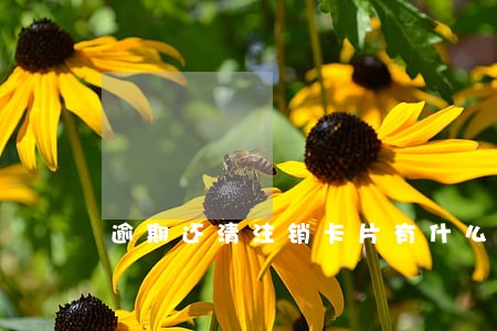 逾期还清注销卡片有什么影响吗 逾期还清注销卡片有什么影响吗