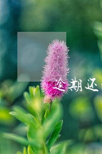 逾期还清注销多久征信 逾期还清注销多久征信