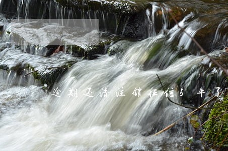 逾期还清注销征信5年了还在 逾期还清注销征信5年了还在