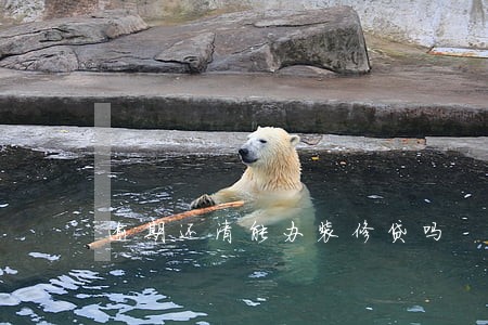 逾期还清能办装修贷吗 逾期还清能办装修贷吗
