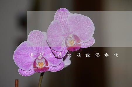 逾期还清能消除记录吗 逾期还清能消除记录吗