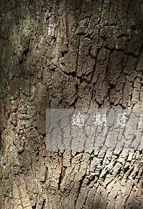 逾期还清能继续贷款吗