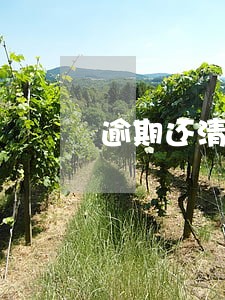 逾期还清花呗没有开通