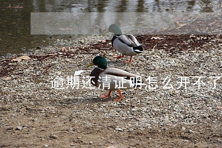 逾期还清证明怎么开不了