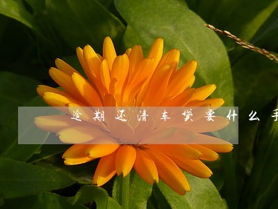 逾期还清车贷要什么手续