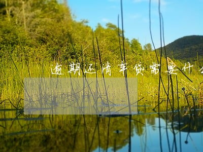 逾期还清车贷需要什么手续