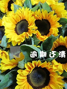 逾期还清过5个月可以申请嘛 逾期还清过5个月可以申请嘛