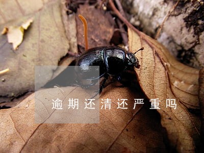 逾期还清还严重吗 逾期还清还严重吗