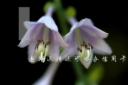 逾期还清还可以办信用卡吗 逾期还清还可以办信用卡吗