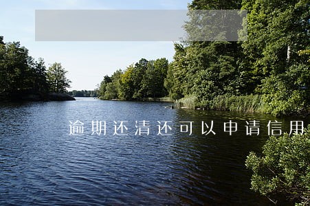 逾期还清还可以申请信用卡吗 逾期还清还可以申请信用卡吗