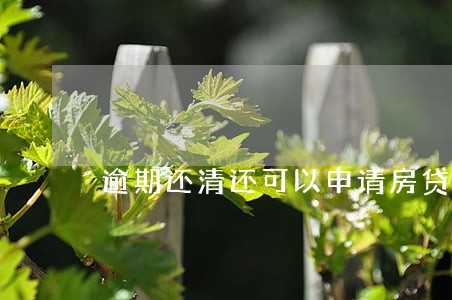 逾期还清还可以申请房贷吗 逾期还清还可以申请房贷吗