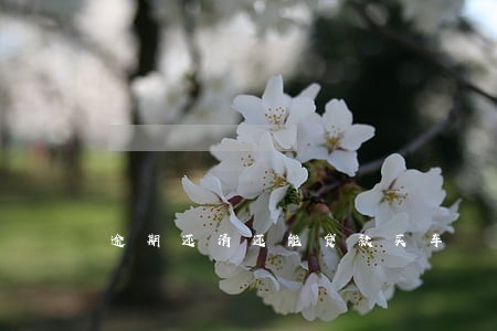 逾期还清还能贷款买车 逾期还清还能贷款买车