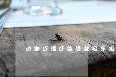 逾期还清还能贷款买车吗 逾期还清还能贷款买车吗