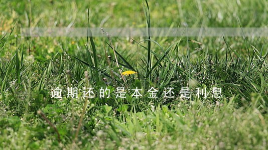 逾期还的是本金还是利息 逾期还的是本金还是利息