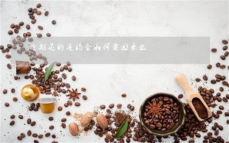 逾期还的违约金如何要回来么 逾期还的违约金如何要回来么