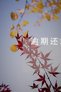 逾期还箱的处理计算题 逾期还箱的处理计算题