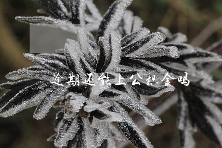 逾期还能上公积金吗 逾期还能上公积金吗