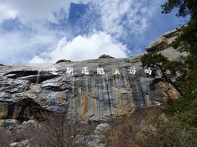 逾期还能上诉吗