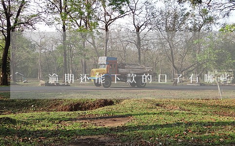 逾期还能下款的口子有哪些 逾期还能下款的口子有哪些