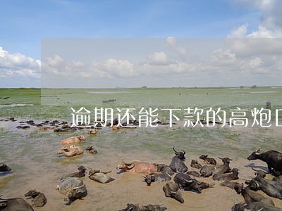 逾期还能下款的高炮口子 逾期还能下款的高炮口子