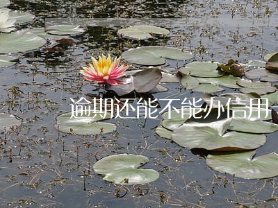 逾期还能不能办信用卡了 逾期还能不能办信用卡了