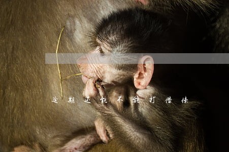 逾期还能不能打借条 逾期还能不能打借条