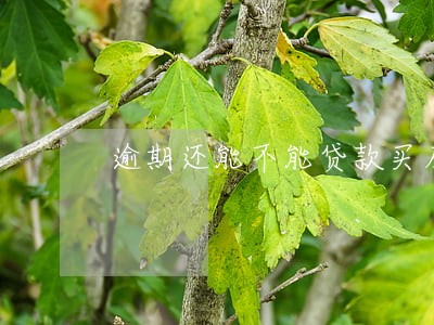 逾期还能不能贷款买房子 逾期还能不能贷款买房子
