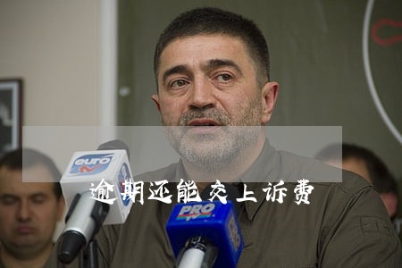 逾期还能交上诉费 逾期还能交上诉费