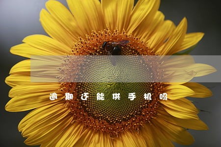 逾期还能供手机吗 逾期还能供手机吗