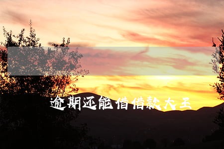逾期还能借借款大王 逾期还能借借款大王