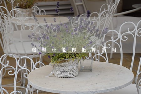 逾期还能做抵押贷吗 逾期还能做抵押贷吗