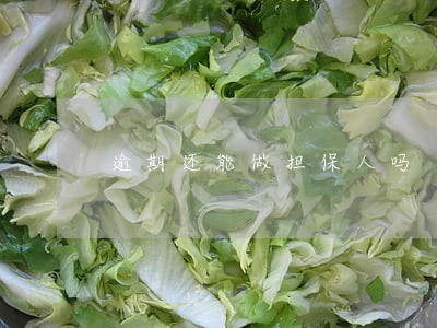 逾期还能做担保人吗 逾期还能做担保人吗