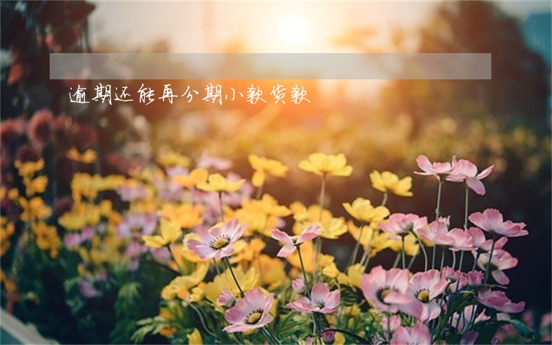 逾期还能再分期小款货款 逾期还能再分期小款货款